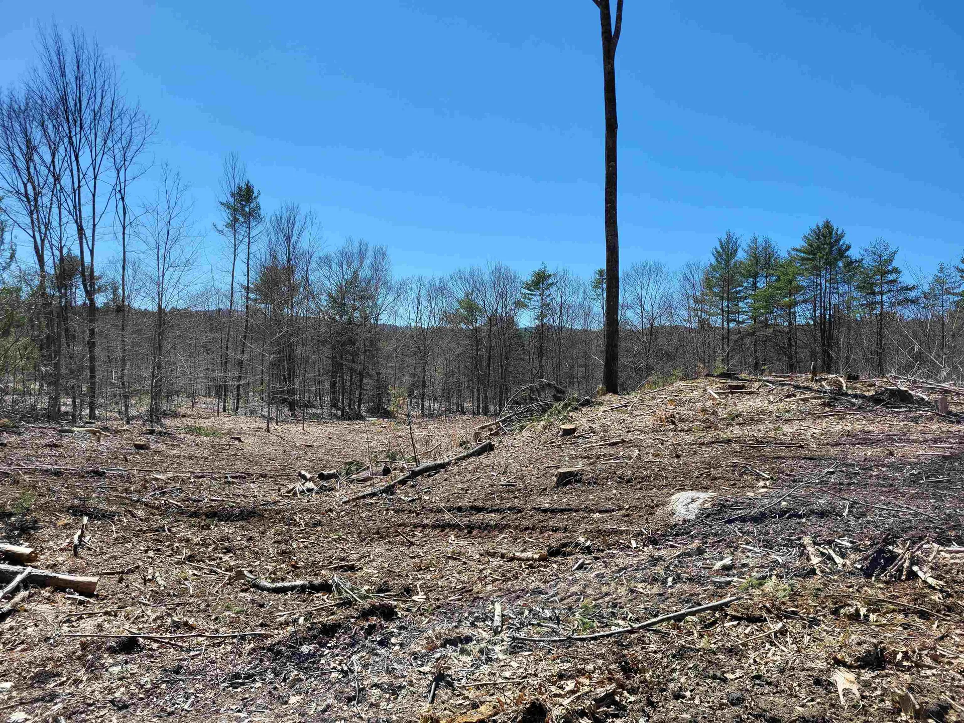 6 Eagle Pond Road Andover NH 03216