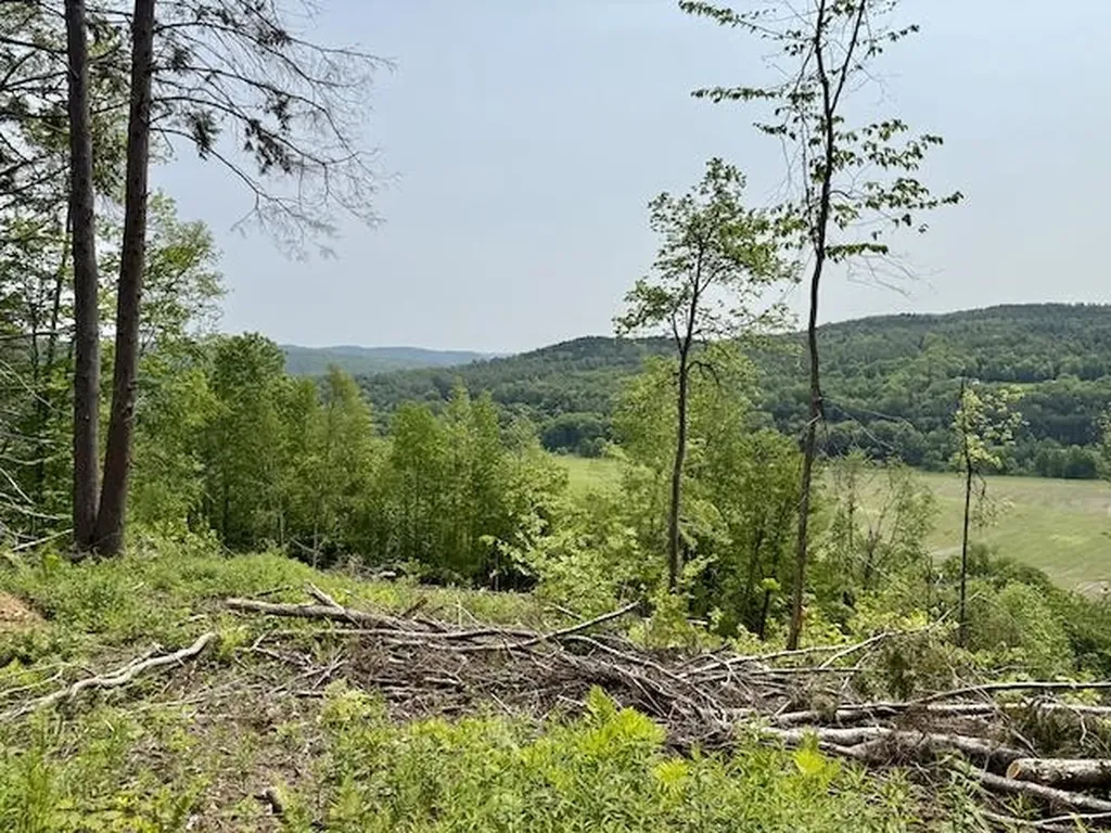 Peavine Boulevard Bethel VT 05032