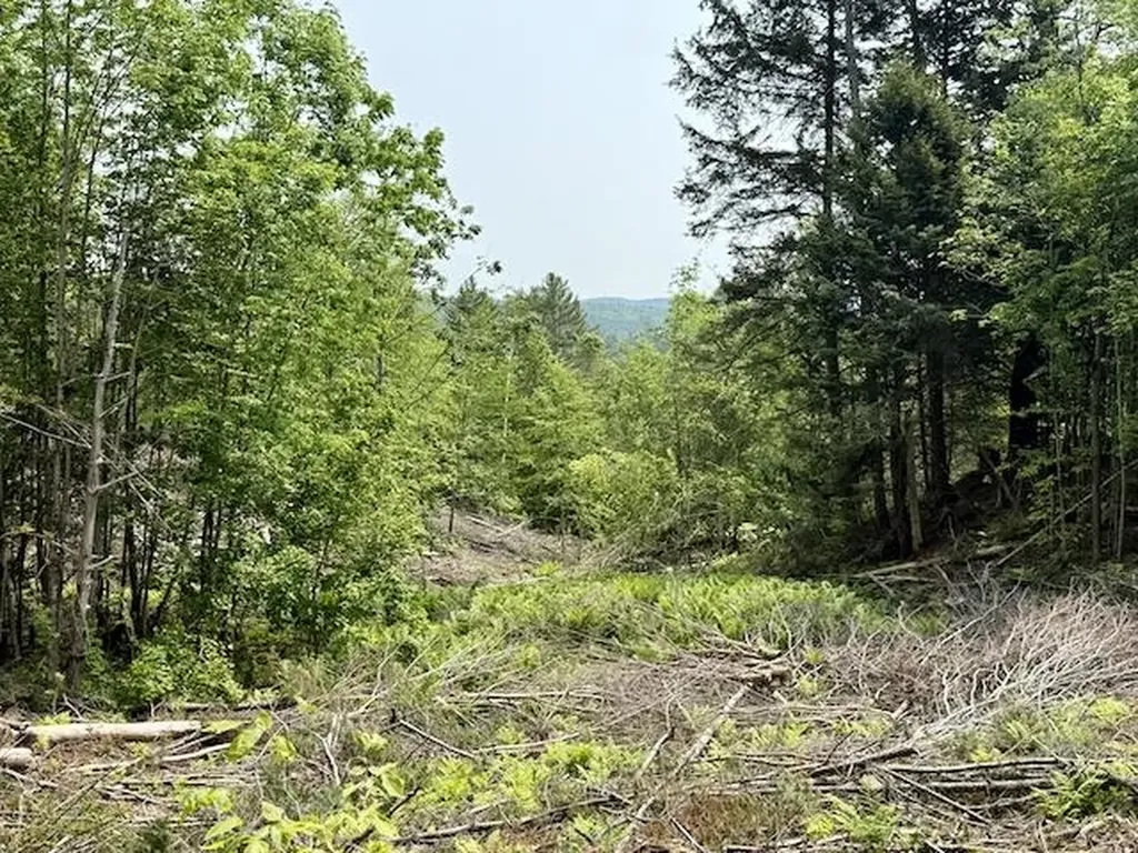 Peavine Boulevard Bethel VT 05032