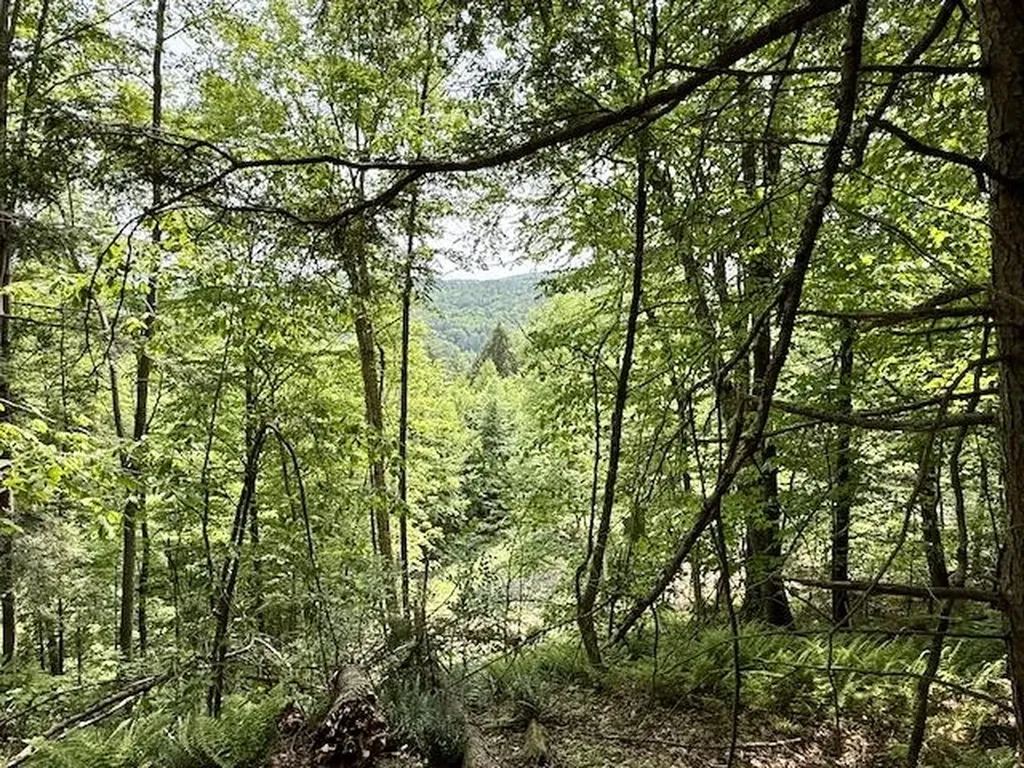 Peavine Boulevard Bethel VT 05032