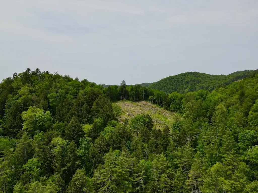 Peavine Boulevard Bethel VT 05032