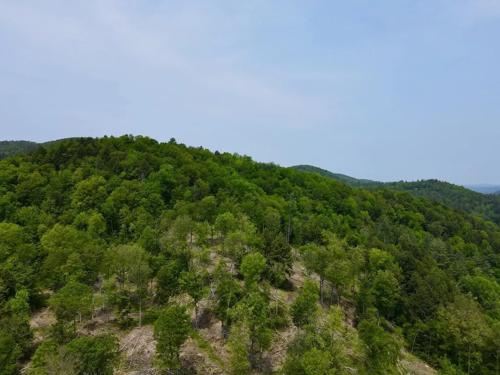 Peavine Boulevard Bethel VT 05032