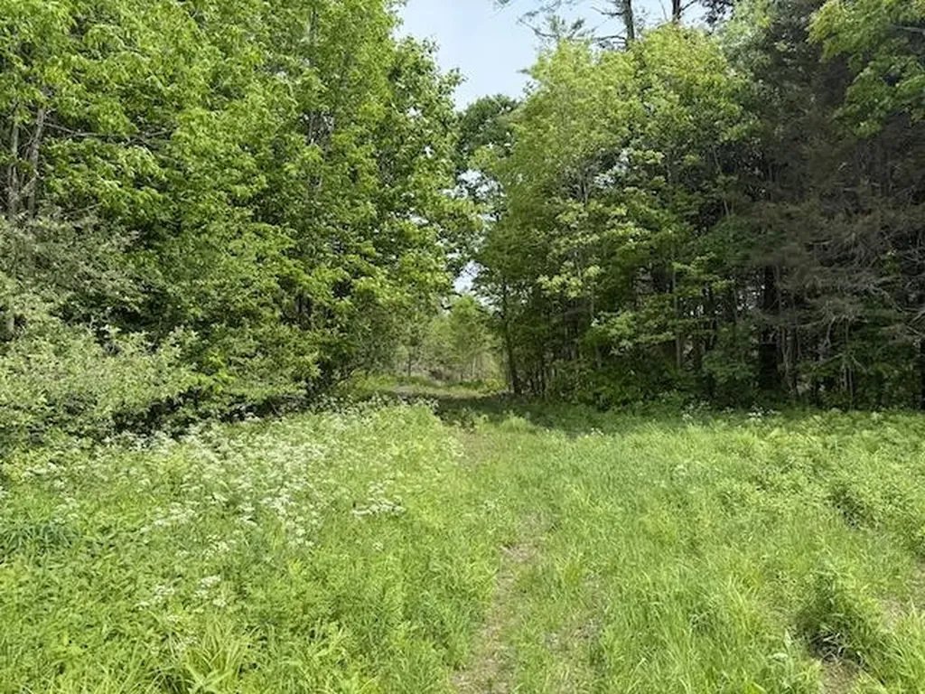 Peavine Boulevard Bethel VT 05032