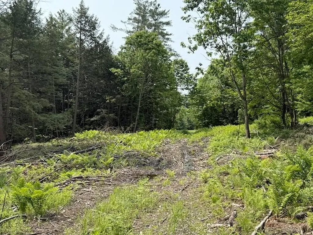 0 Peavine Boulevard Bethel VT 05032