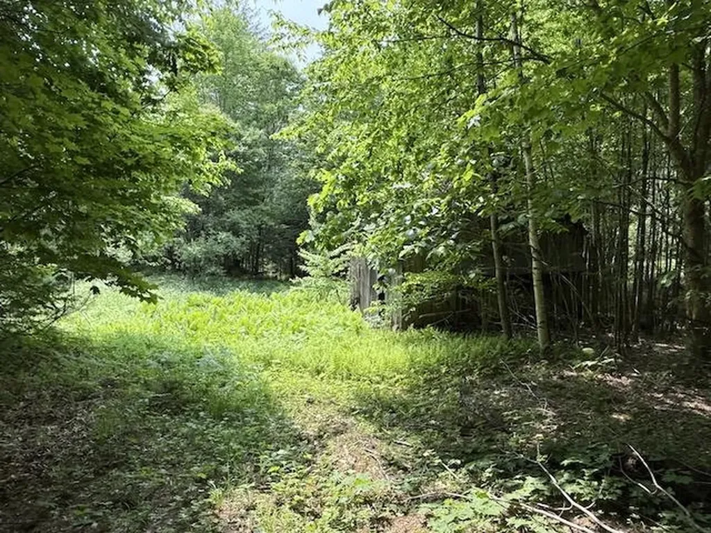 Peavine Boulevard Bethel VT 05032