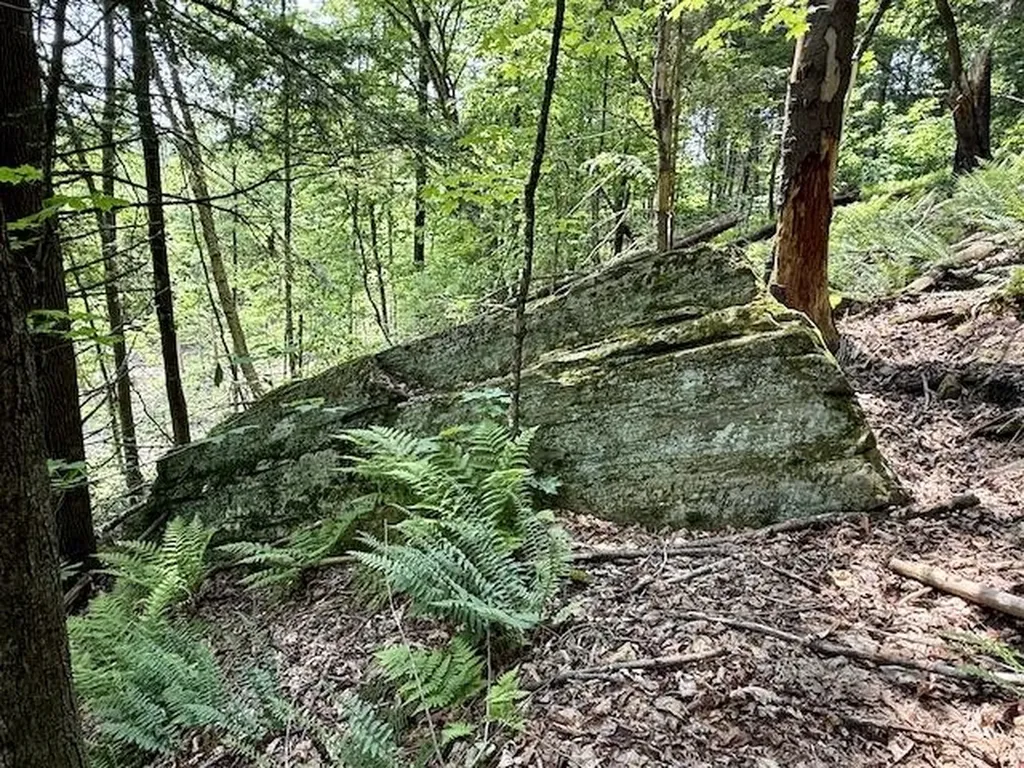 Peavine Boulevard Bethel VT 05032