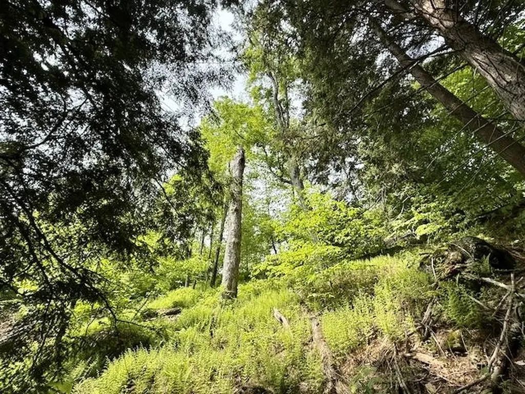 Peavine Boulevard Bethel VT 05032