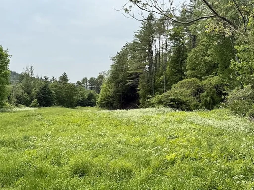 Peavine Boulevard Bethel VT 05032