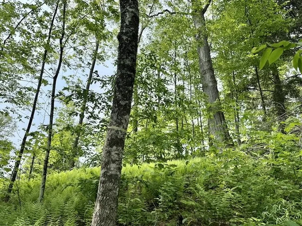 Peavine Boulevard Bethel VT 05032