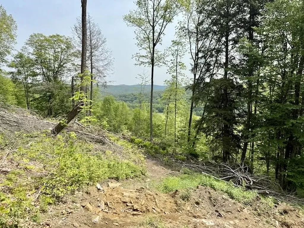 Peavine Boulevard Bethel VT 05032