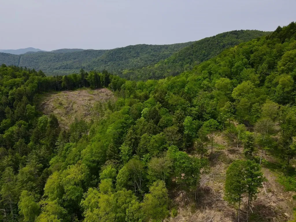 Peavine Boulevard Bethel VT 05032