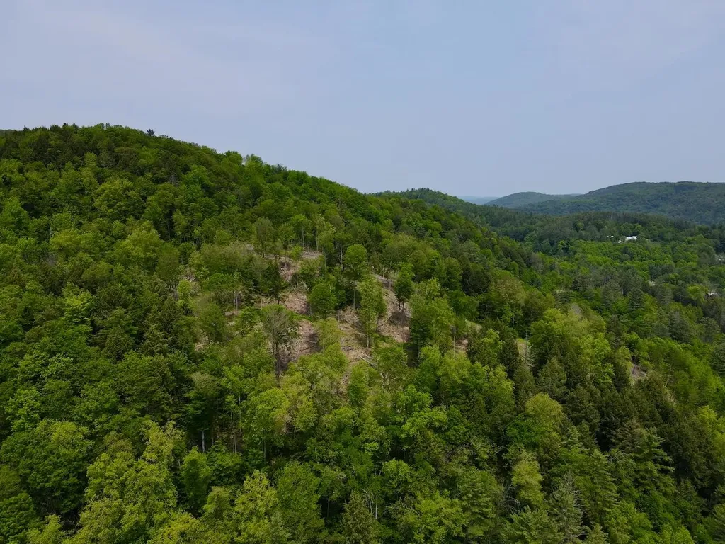 0 Peavine Boulevard Bethel VT 05032