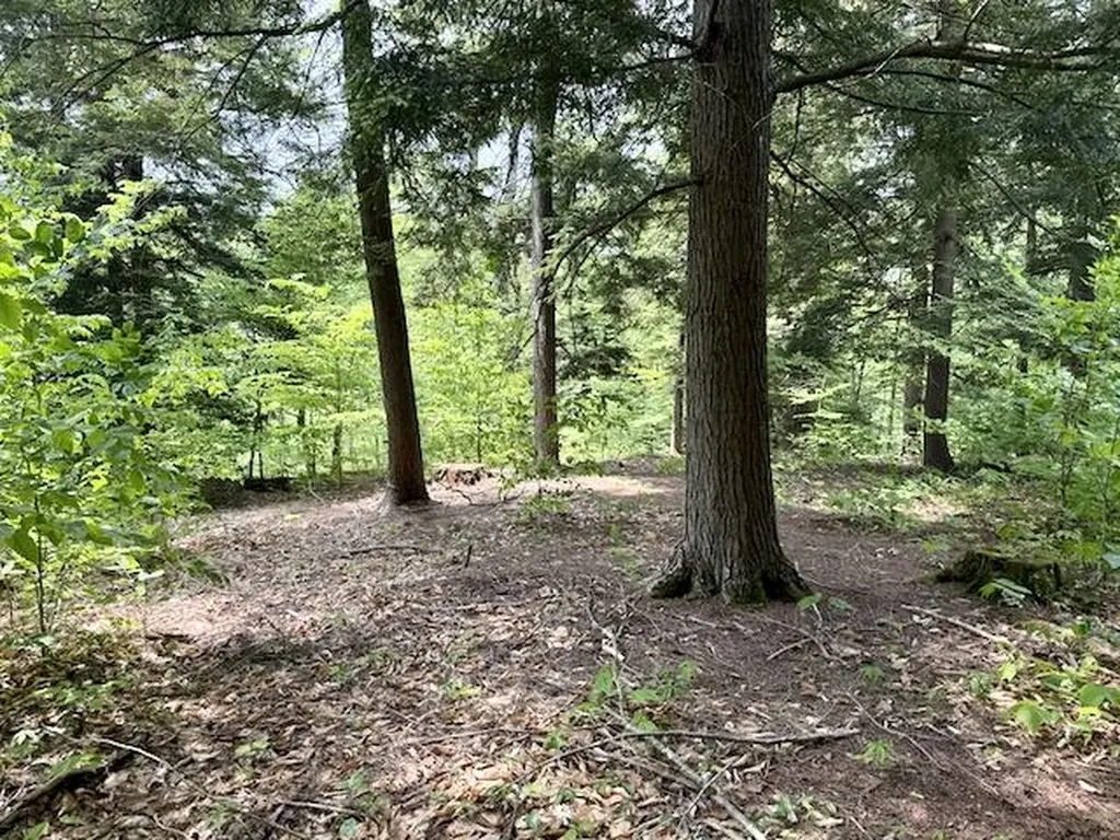 Peavine Boulevard Bethel VT 05032