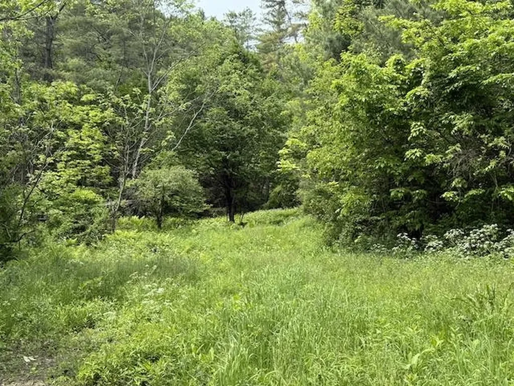 Peavine Boulevard Bethel VT 05032