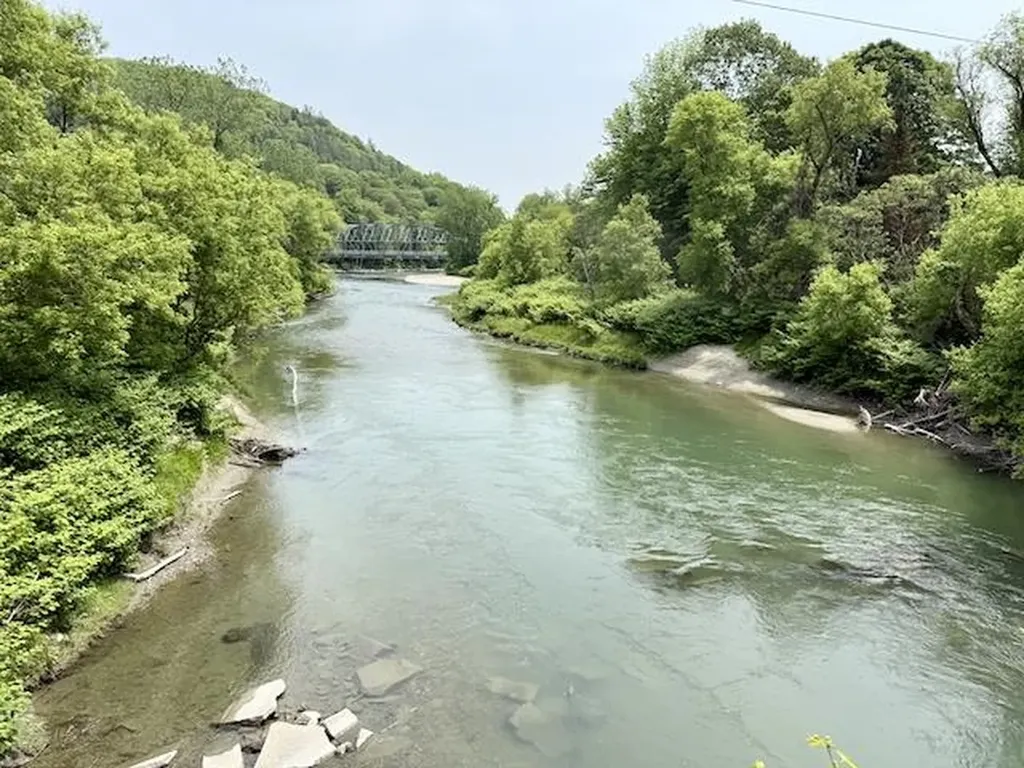 Peavine Boulevard Bethel VT 05032