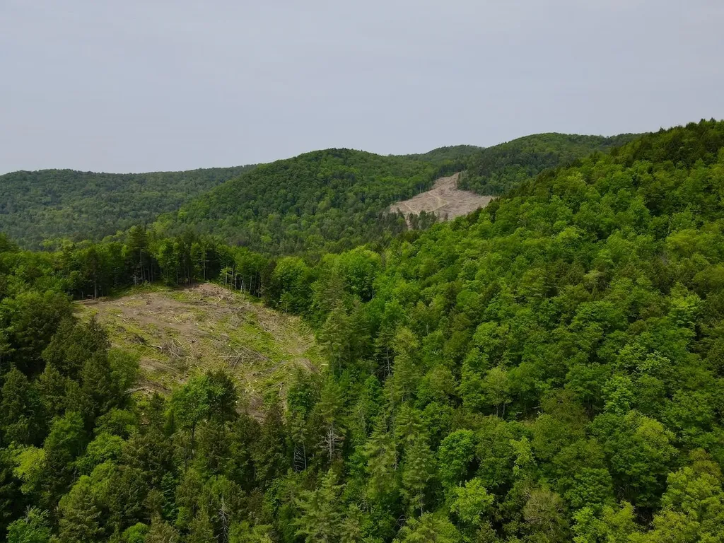 Peavine Boulevard Bethel VT 05032