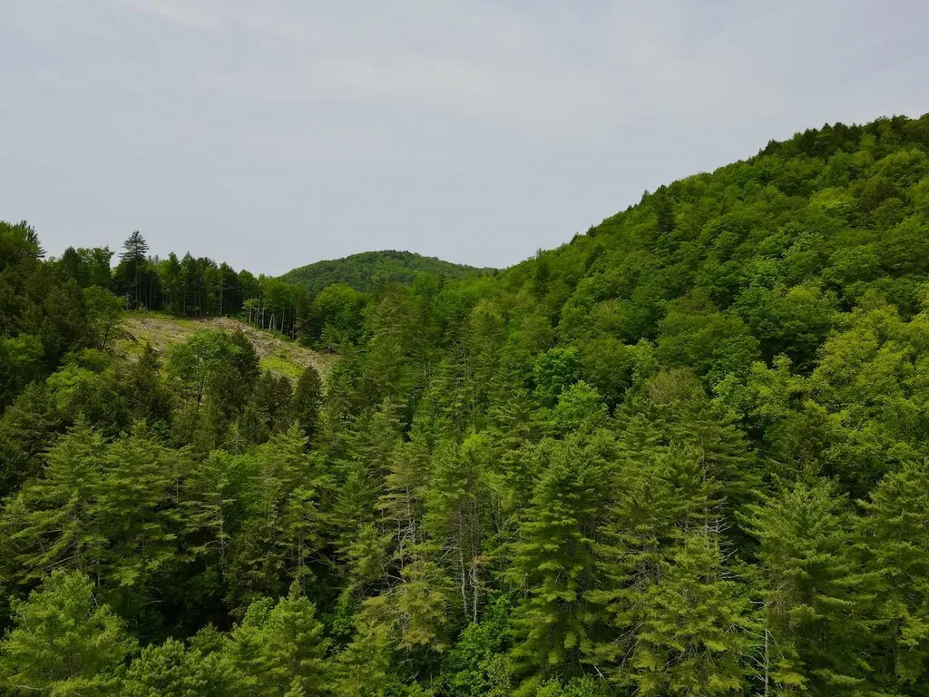 Peavine Boulevard Bethel VT 05032