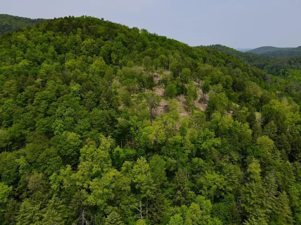 Peavine Boulevard Bethel VT 05032