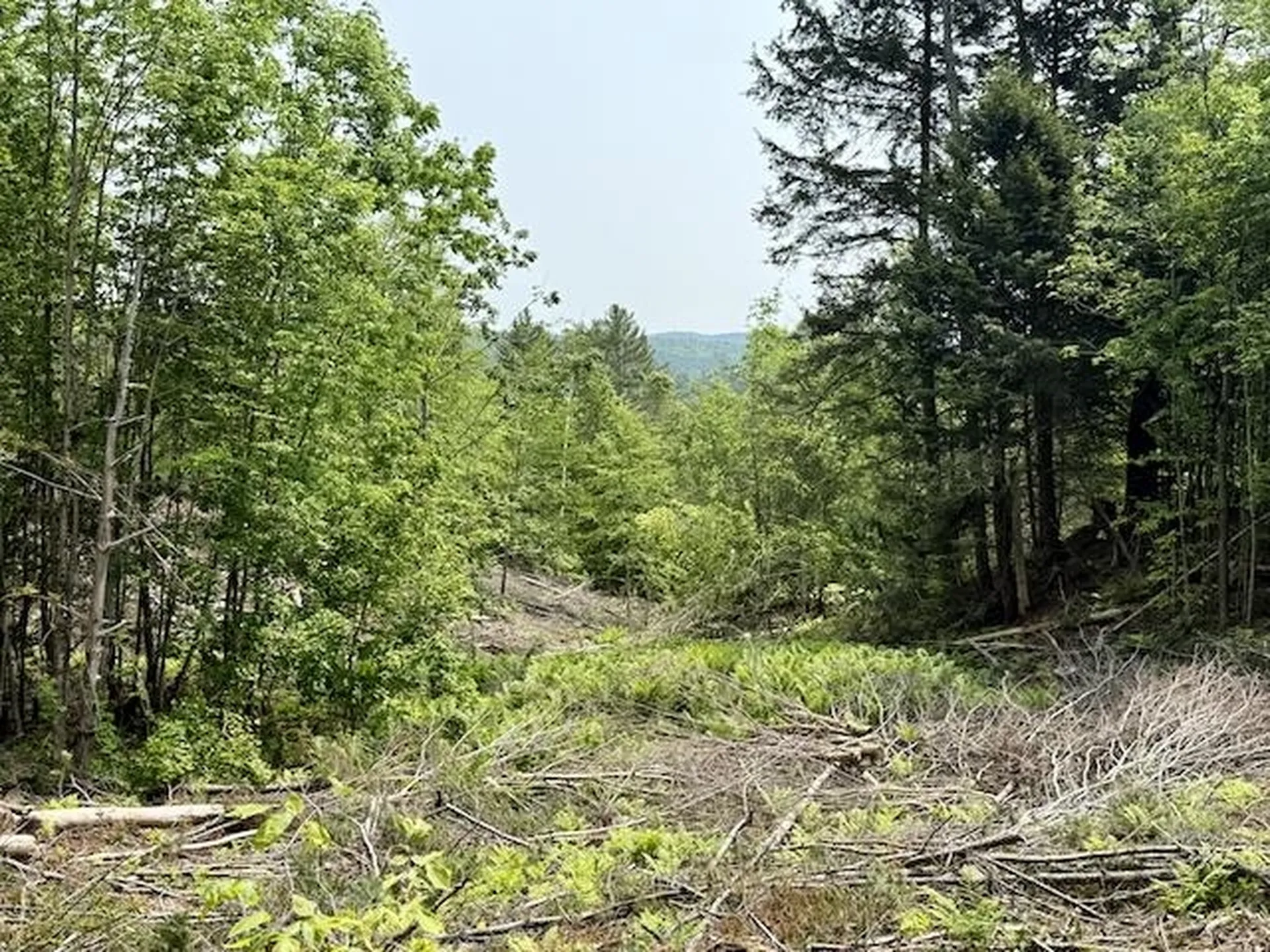 Peavine Boulevard Bethel VT 05032