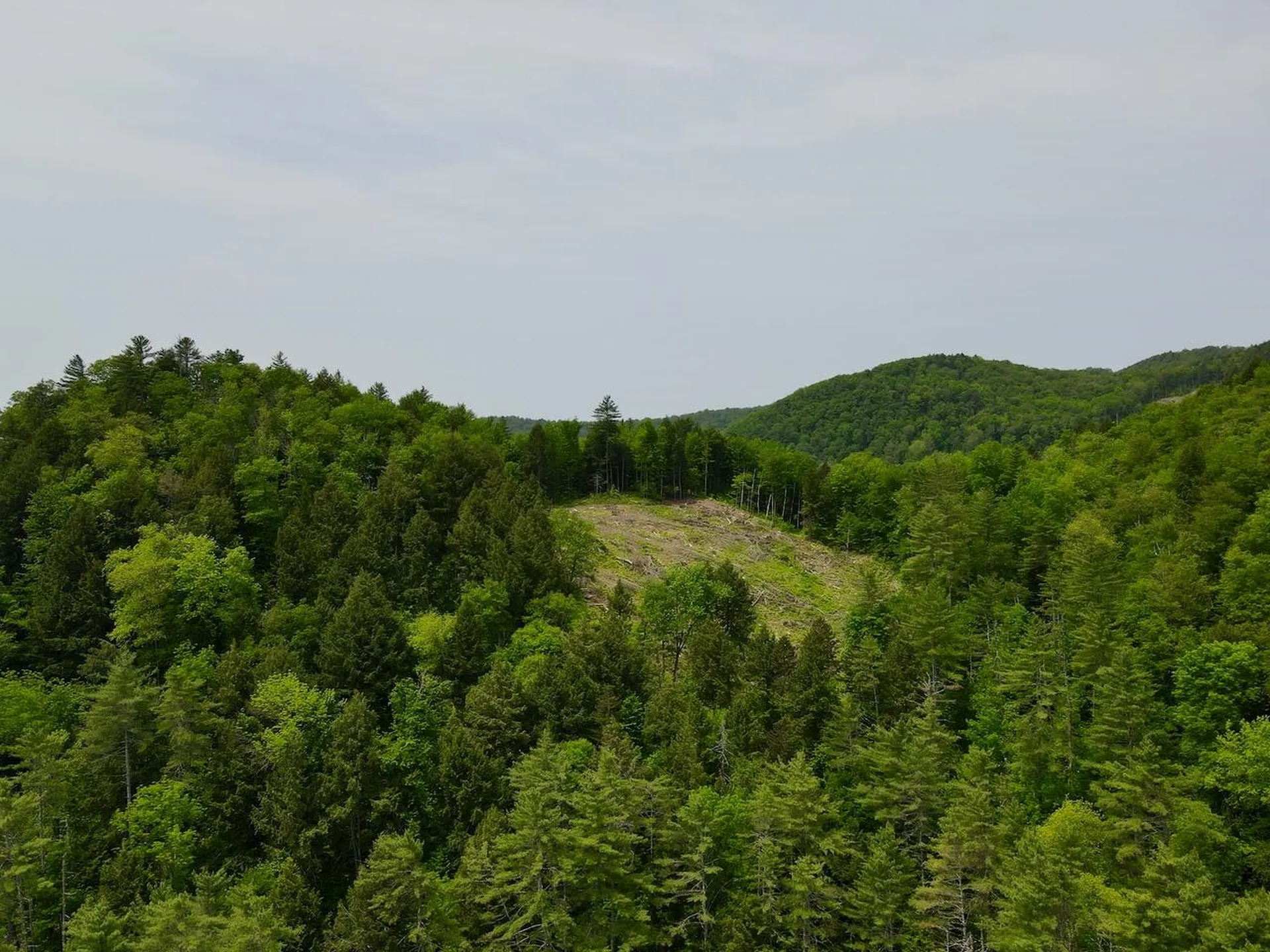 Peavine Boulevard Bethel VT 05032