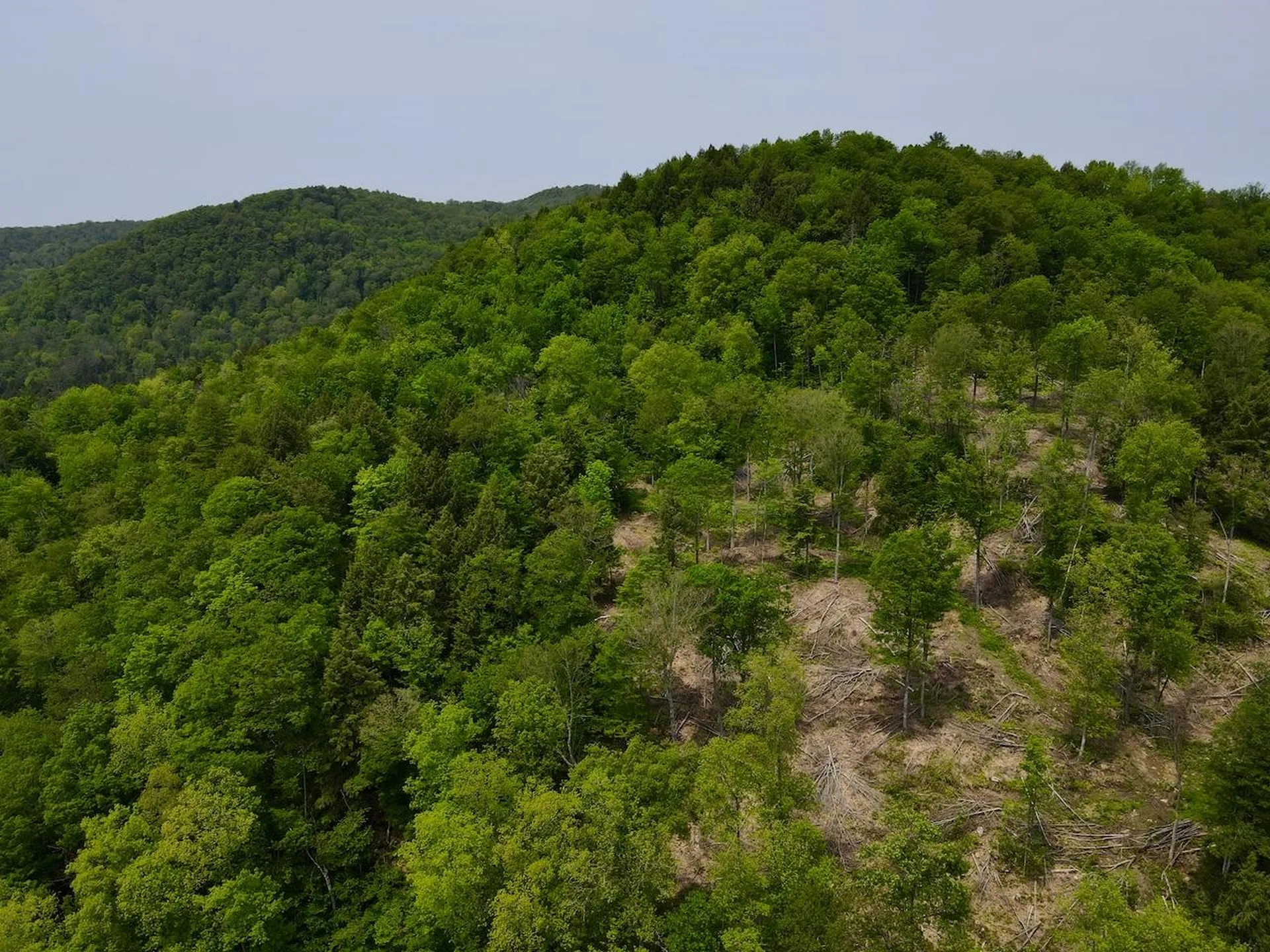 Peavine Boulevard Bethel VT 05032