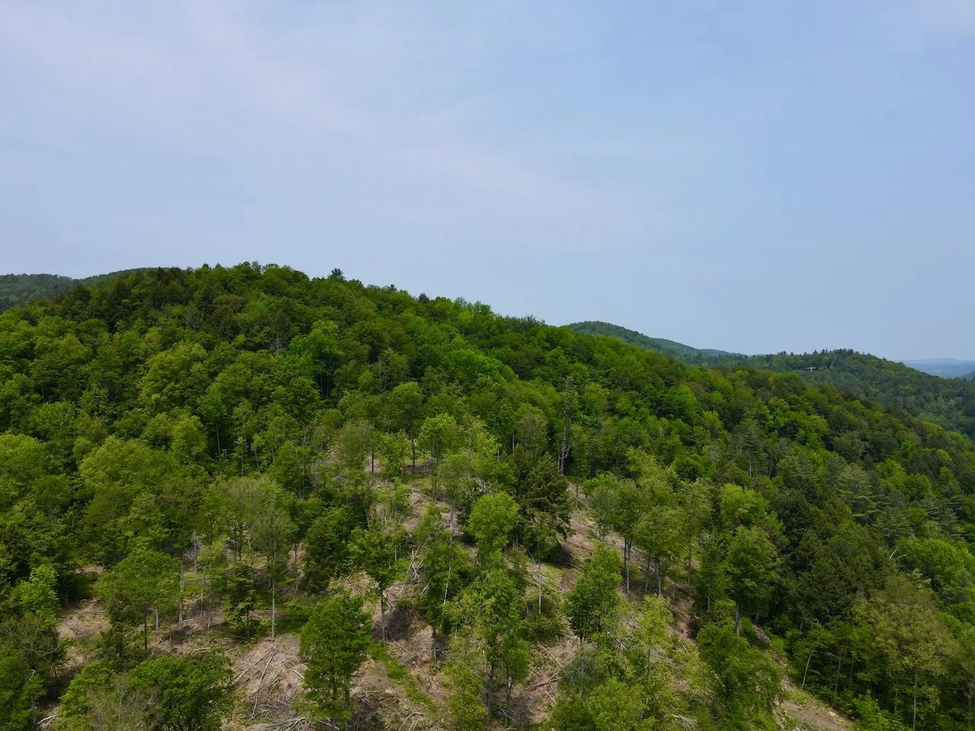 Peavine Boulevard Bethel VT 05032