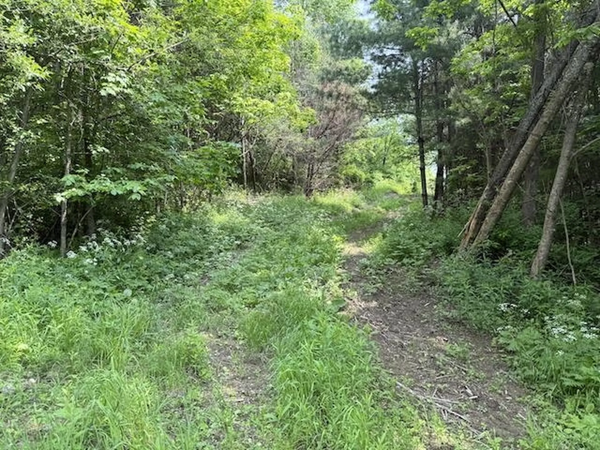 0 Peavine Boulevard Bethel VT 05032