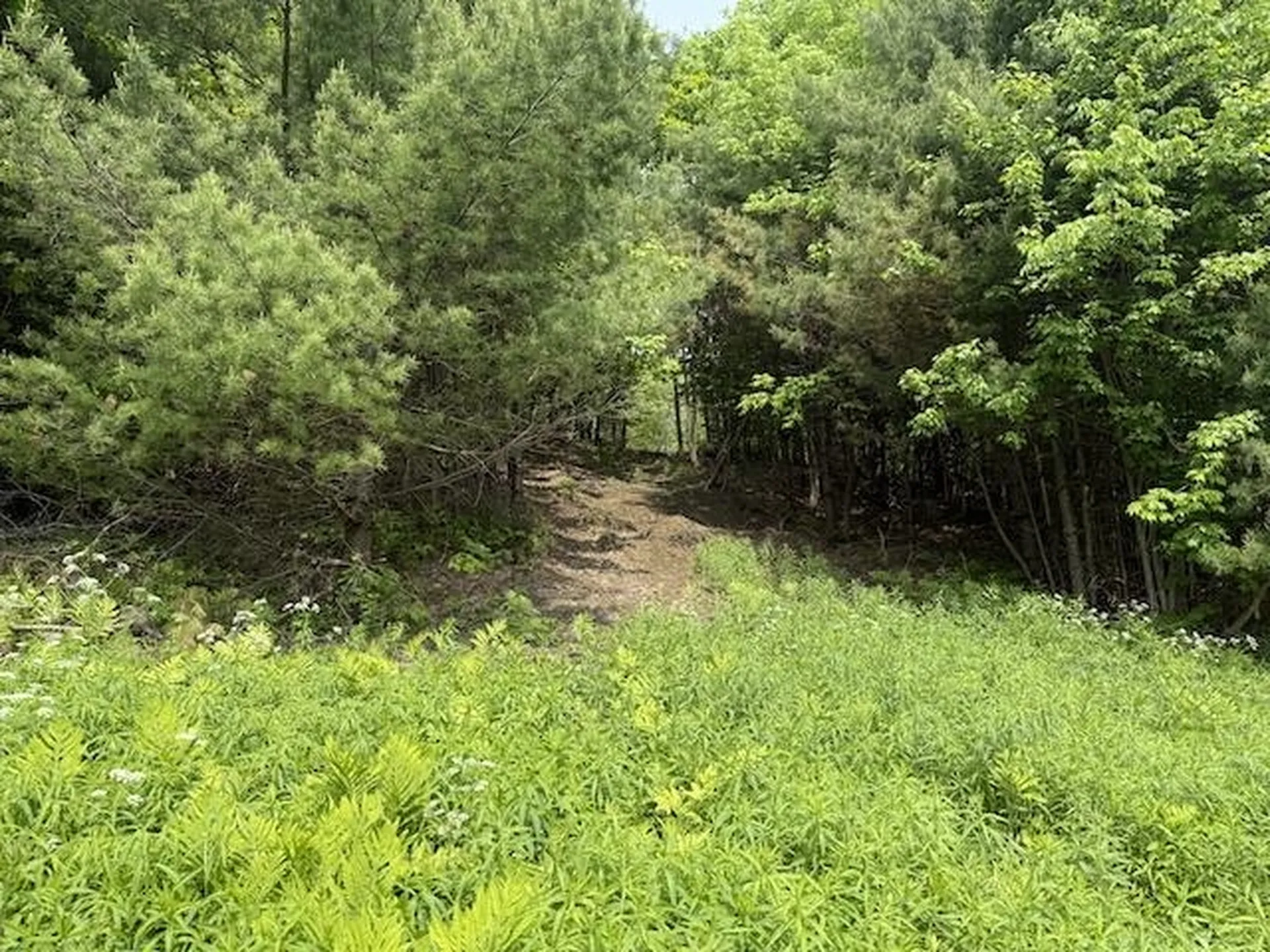 Peavine Boulevard Bethel VT 05032