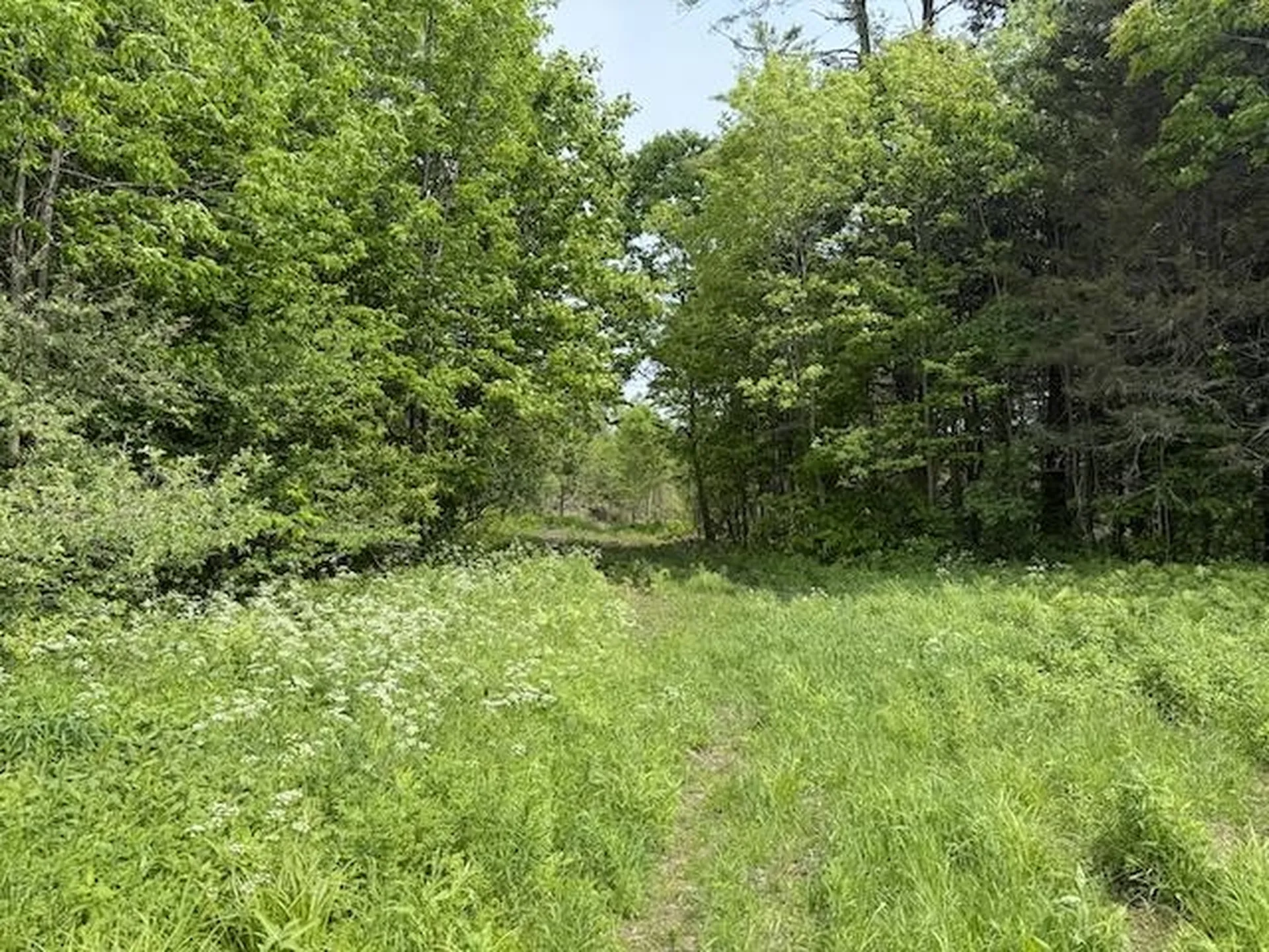 Peavine Boulevard Bethel VT 05032