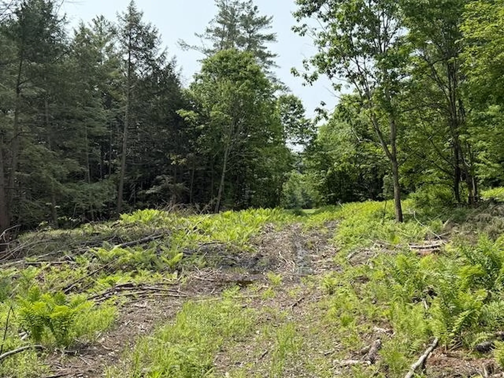0 Peavine Boulevard Bethel VT 05032