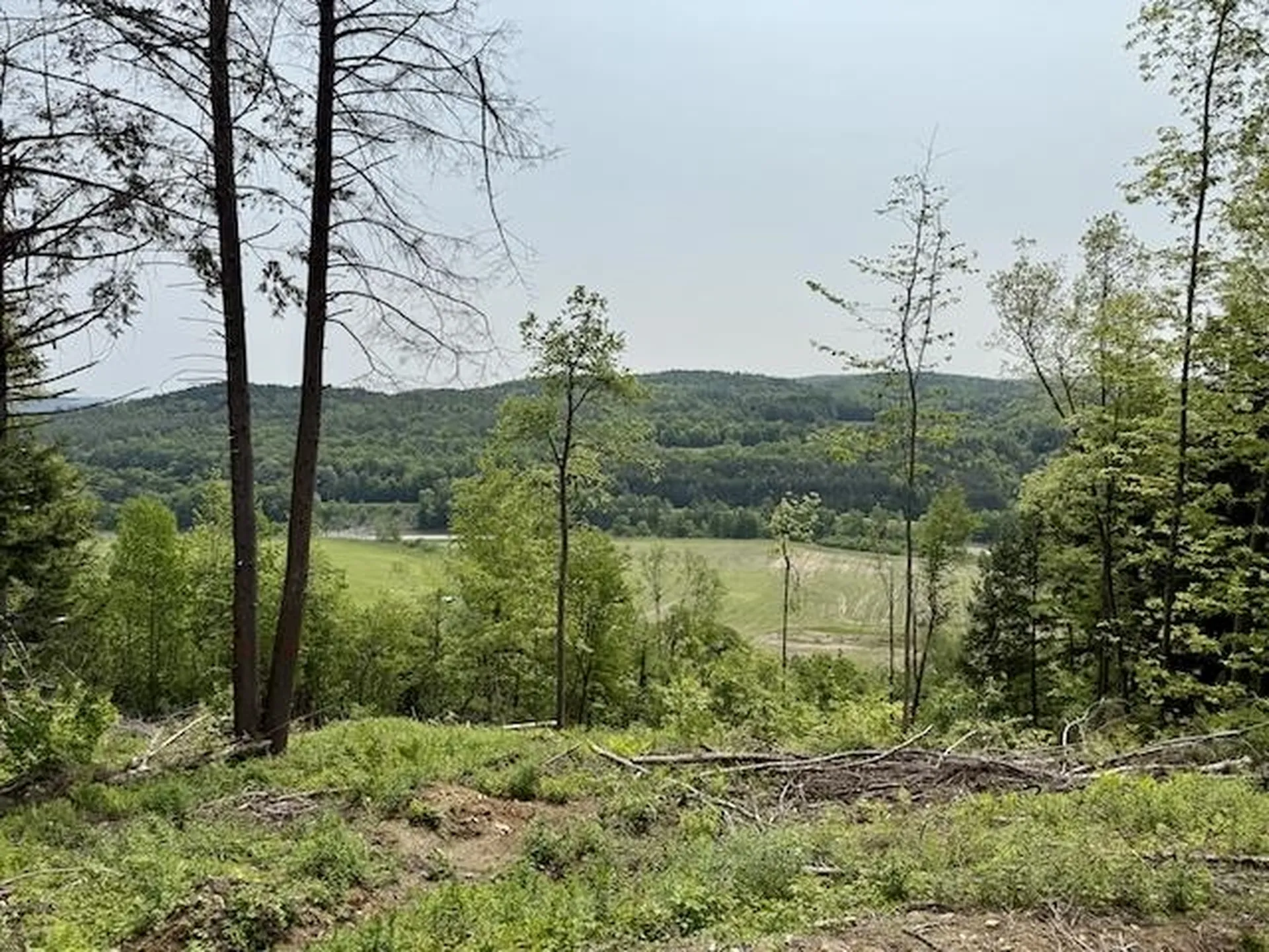 Peavine Boulevard Bethel VT 05032