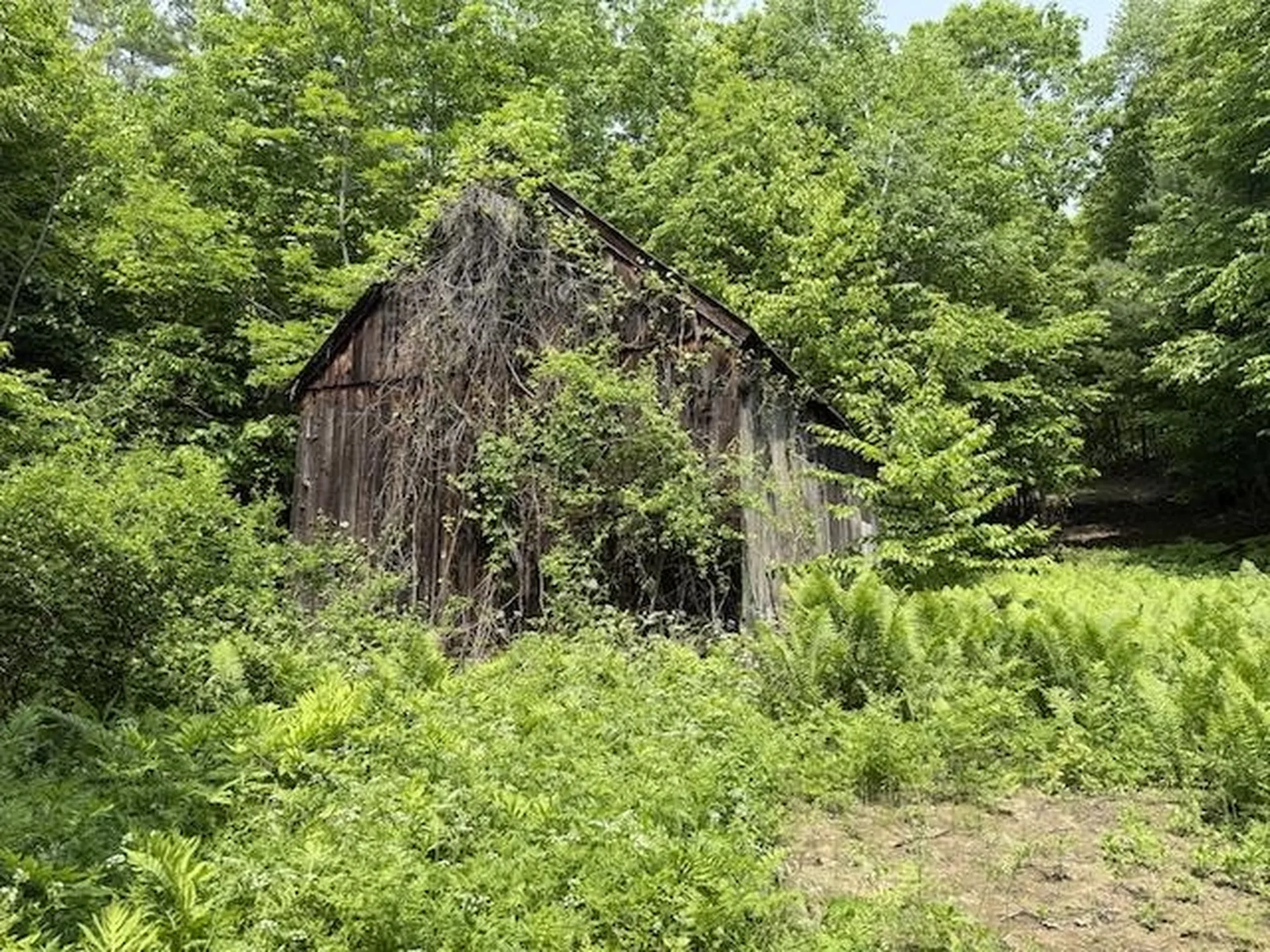 Peavine Boulevard Bethel VT 05032