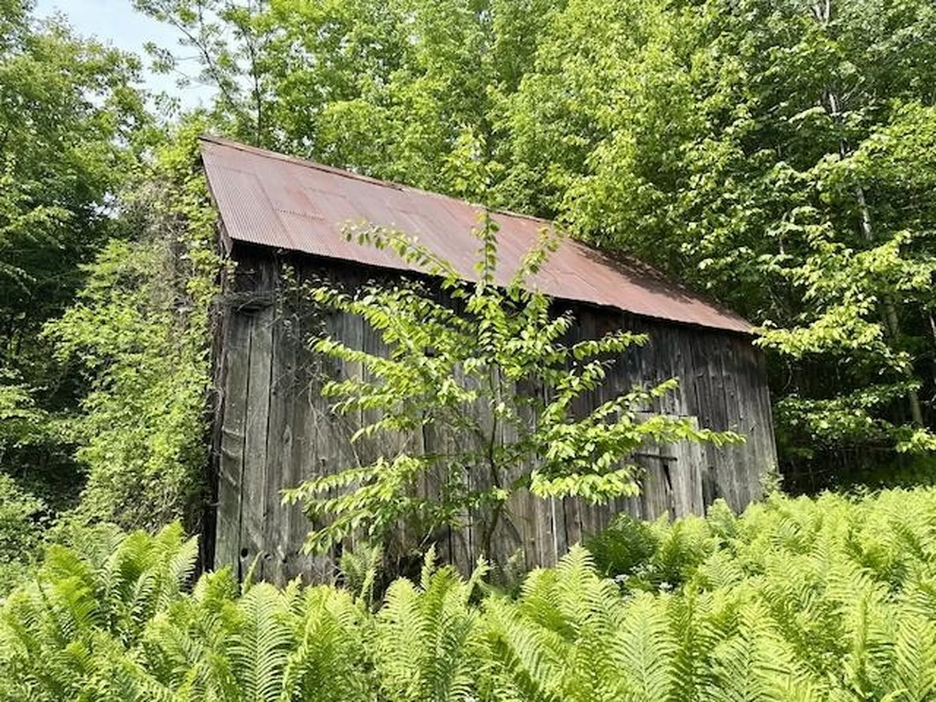 Peavine Boulevard Bethel VT 05032