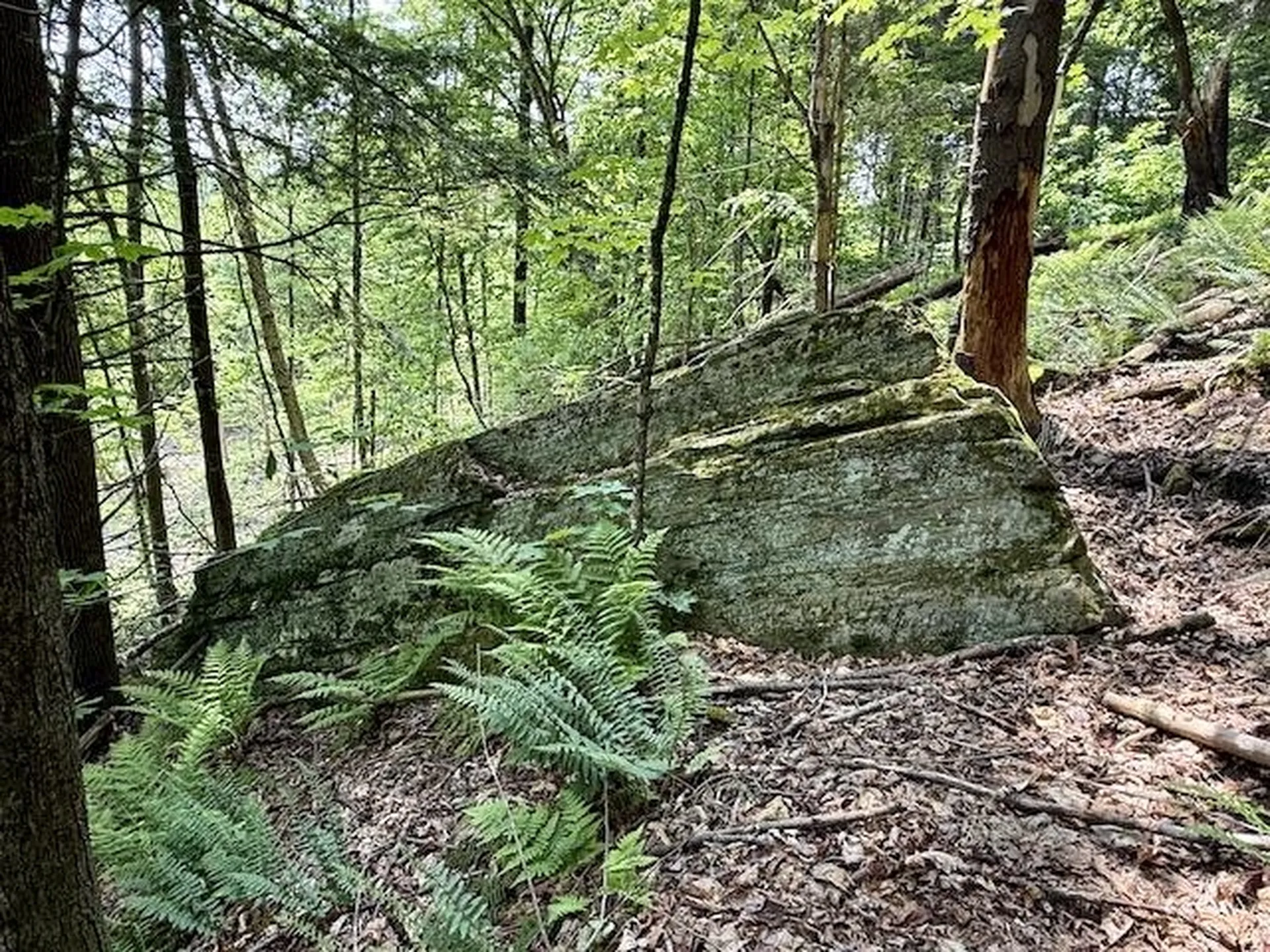 Peavine Boulevard Bethel VT 05032