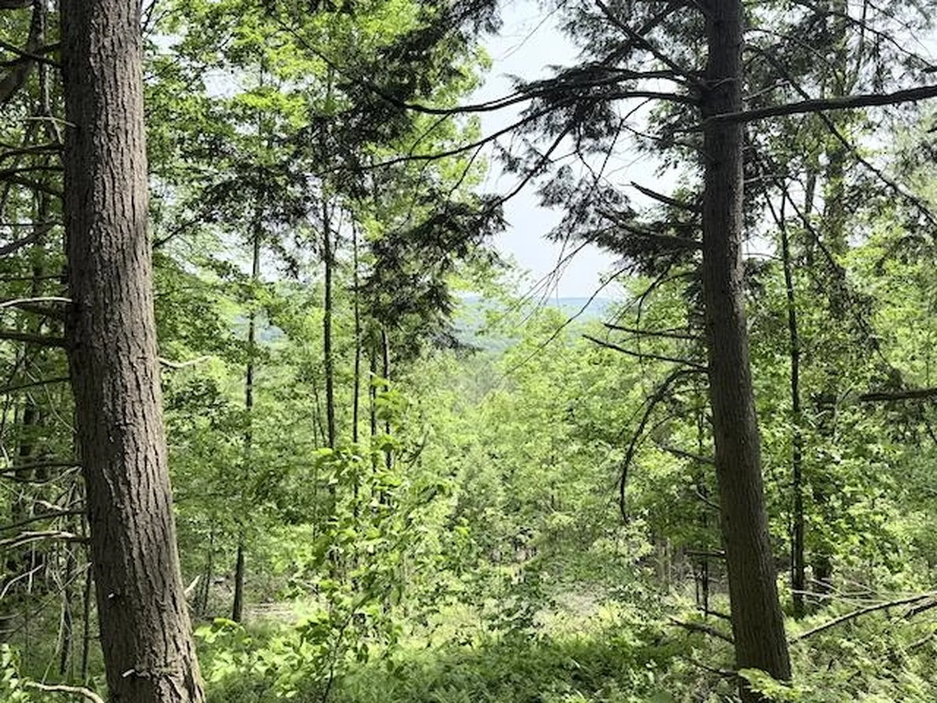 Peavine Boulevard Bethel VT 05032