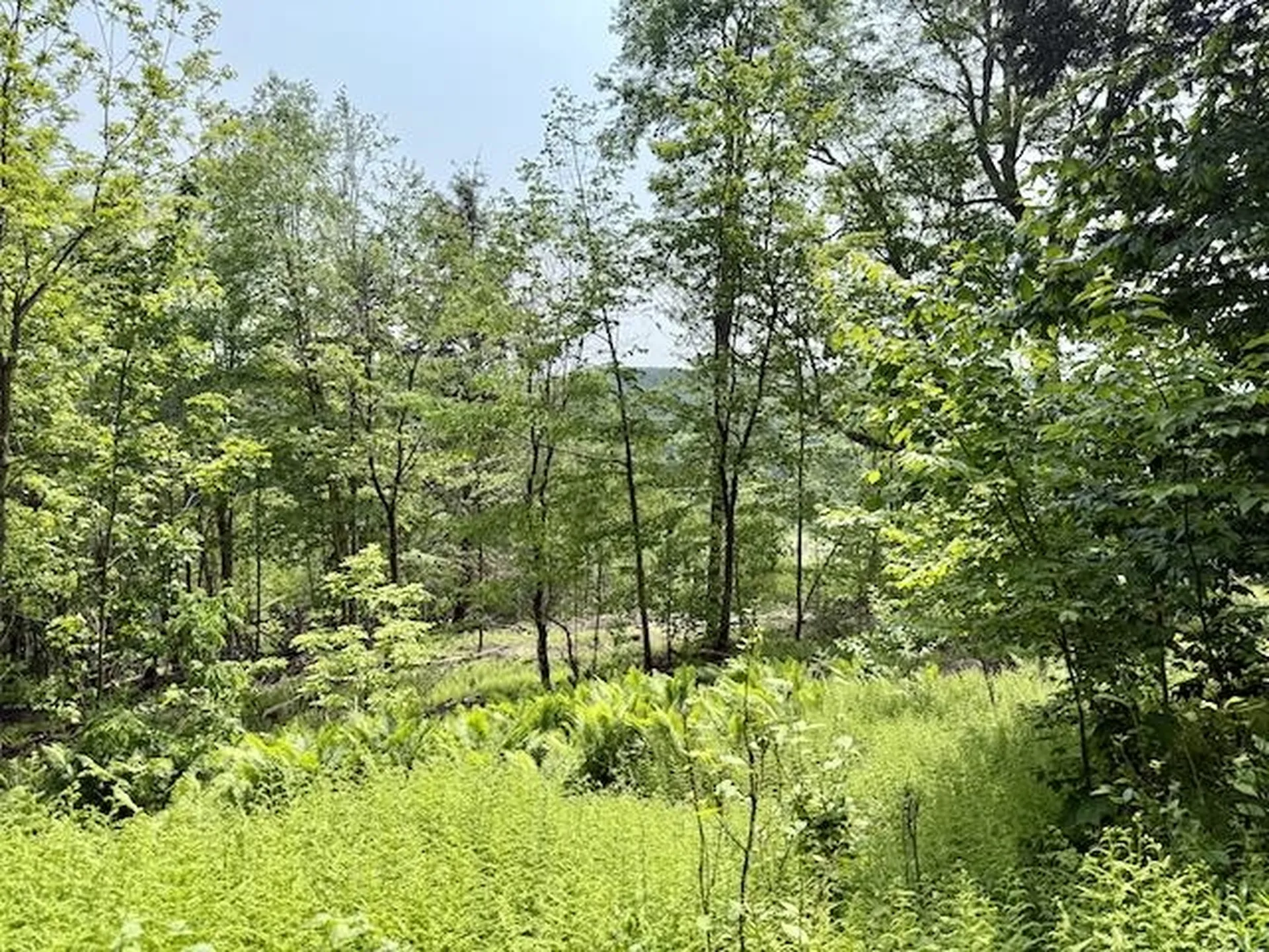 0 Peavine Boulevard Bethel VT 05032