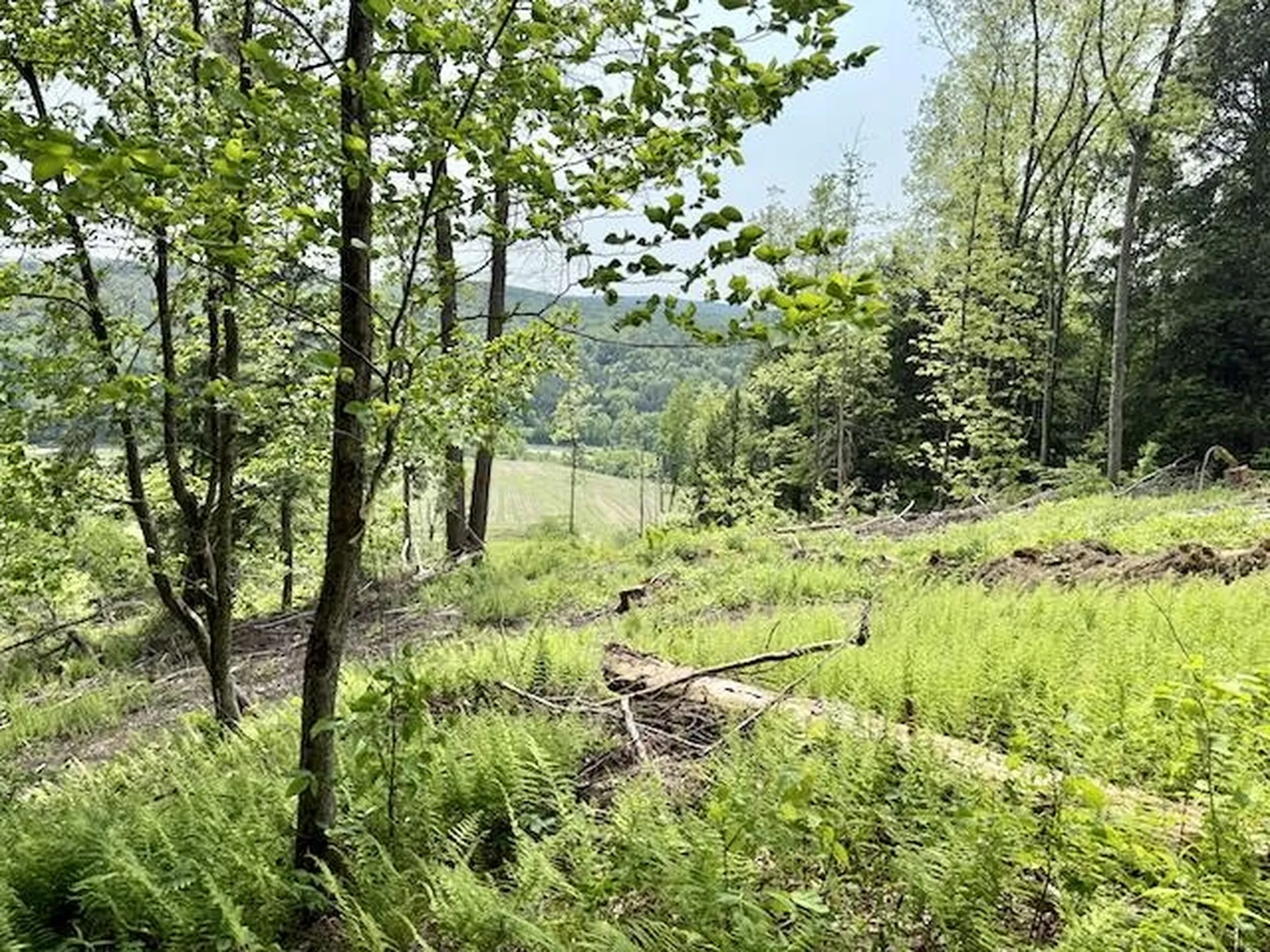 0 Peavine Boulevard Bethel VT 05032