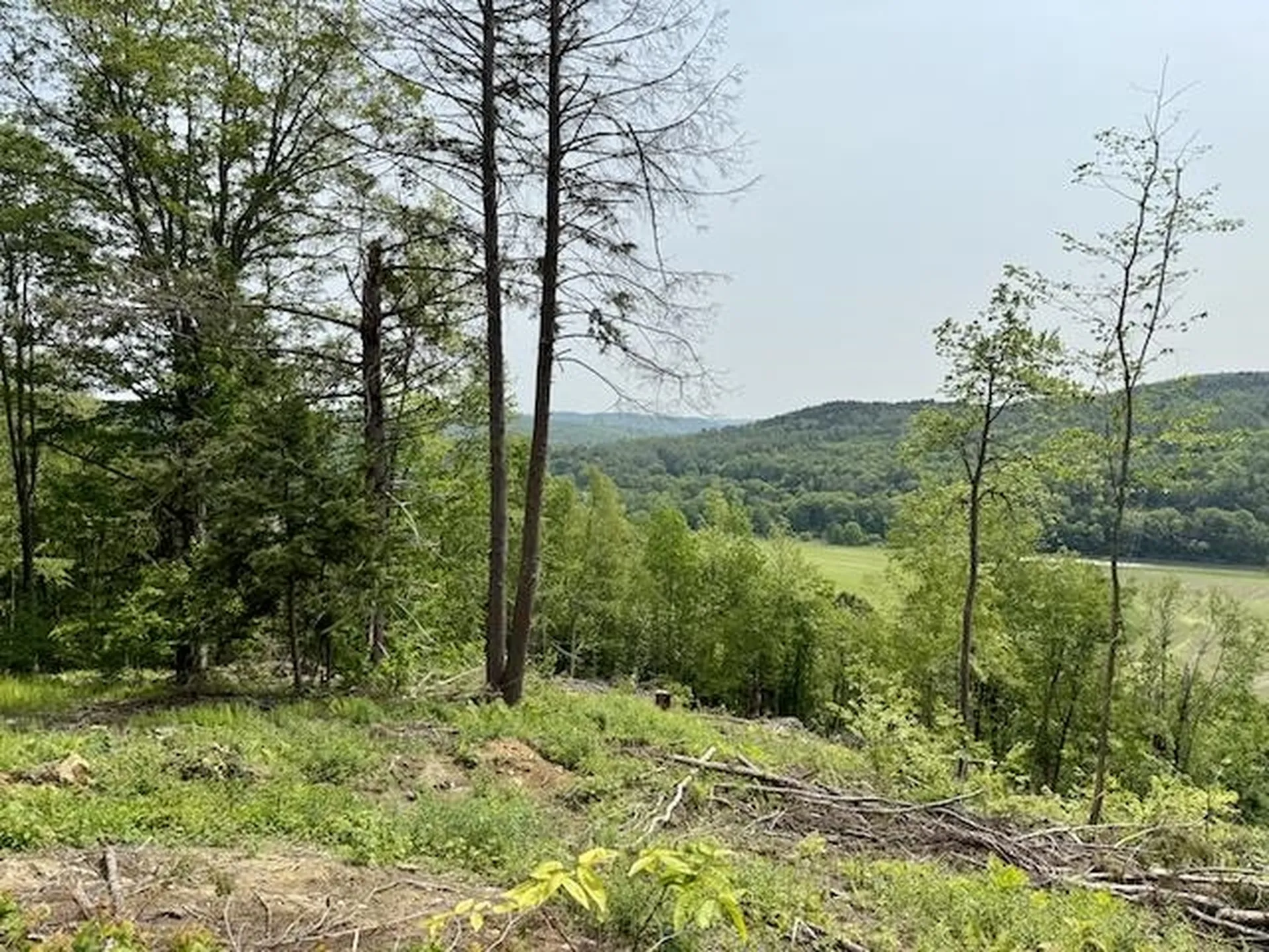 0 Peavine Boulevard Bethel VT 05032