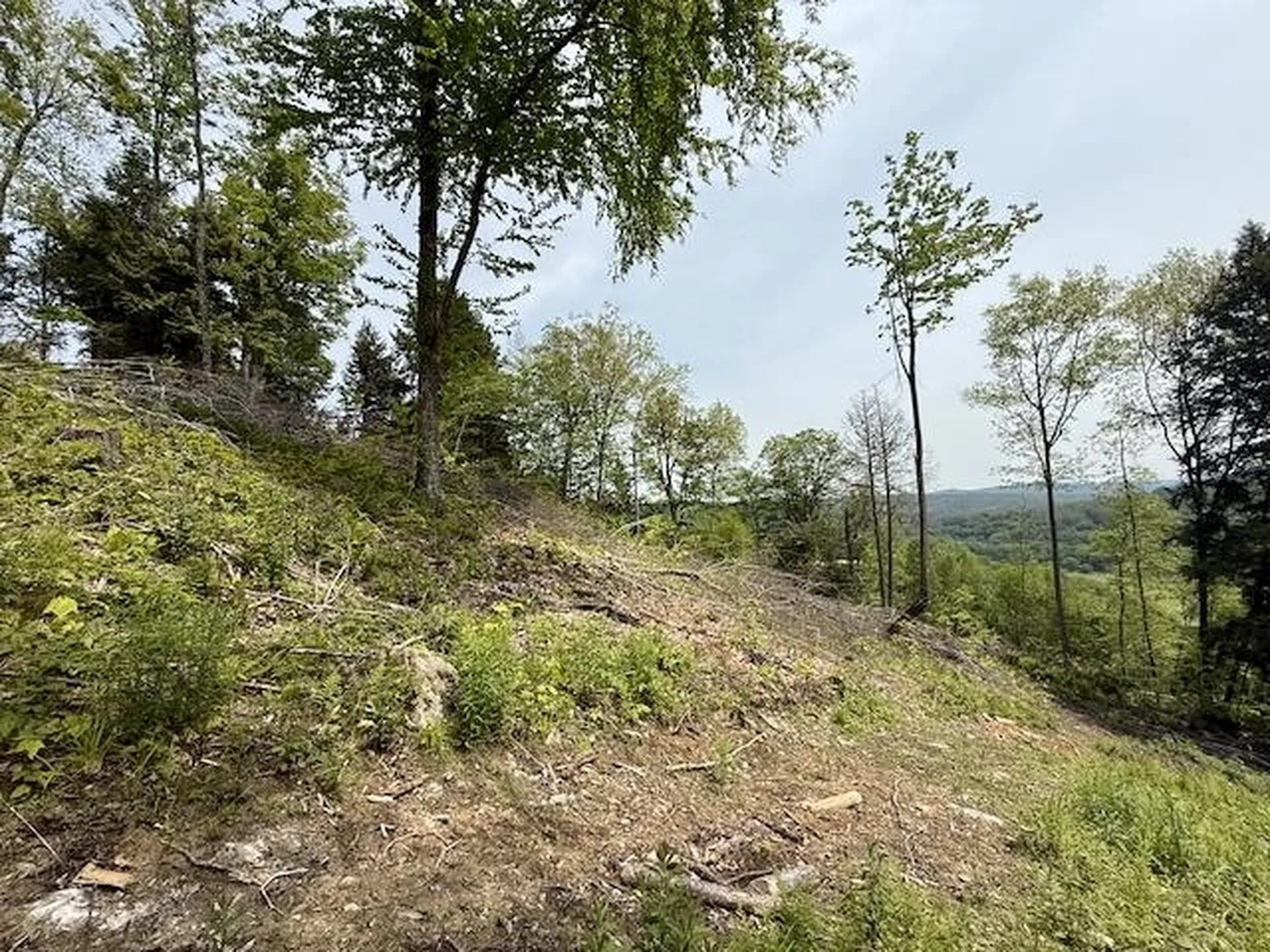 Peavine Boulevard Bethel VT 05032