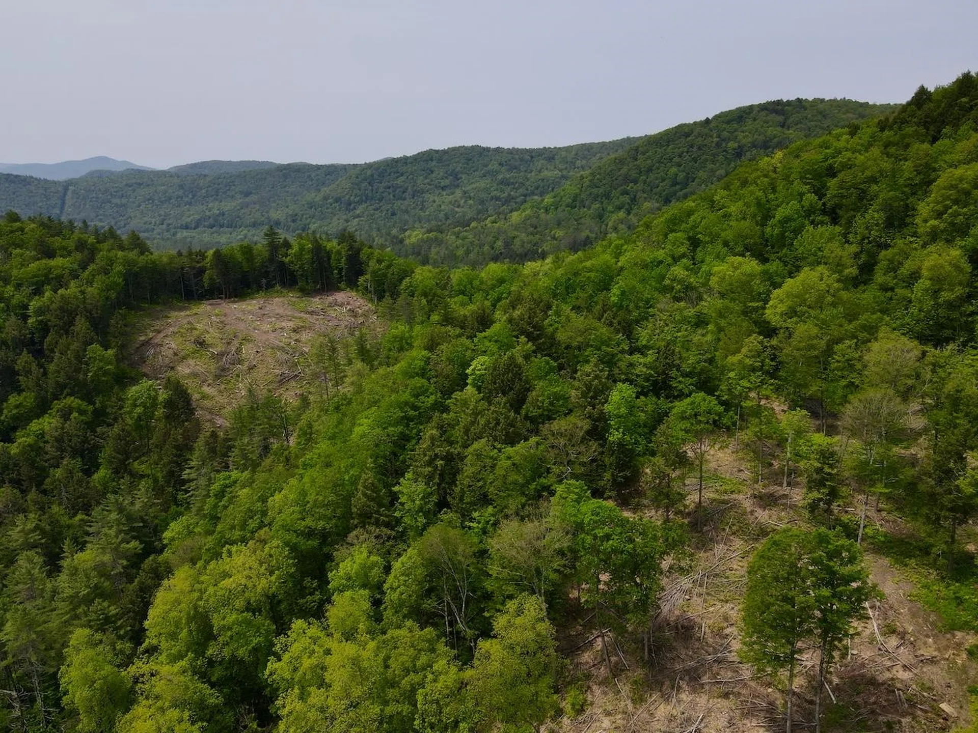 Peavine Boulevard Bethel VT 05032