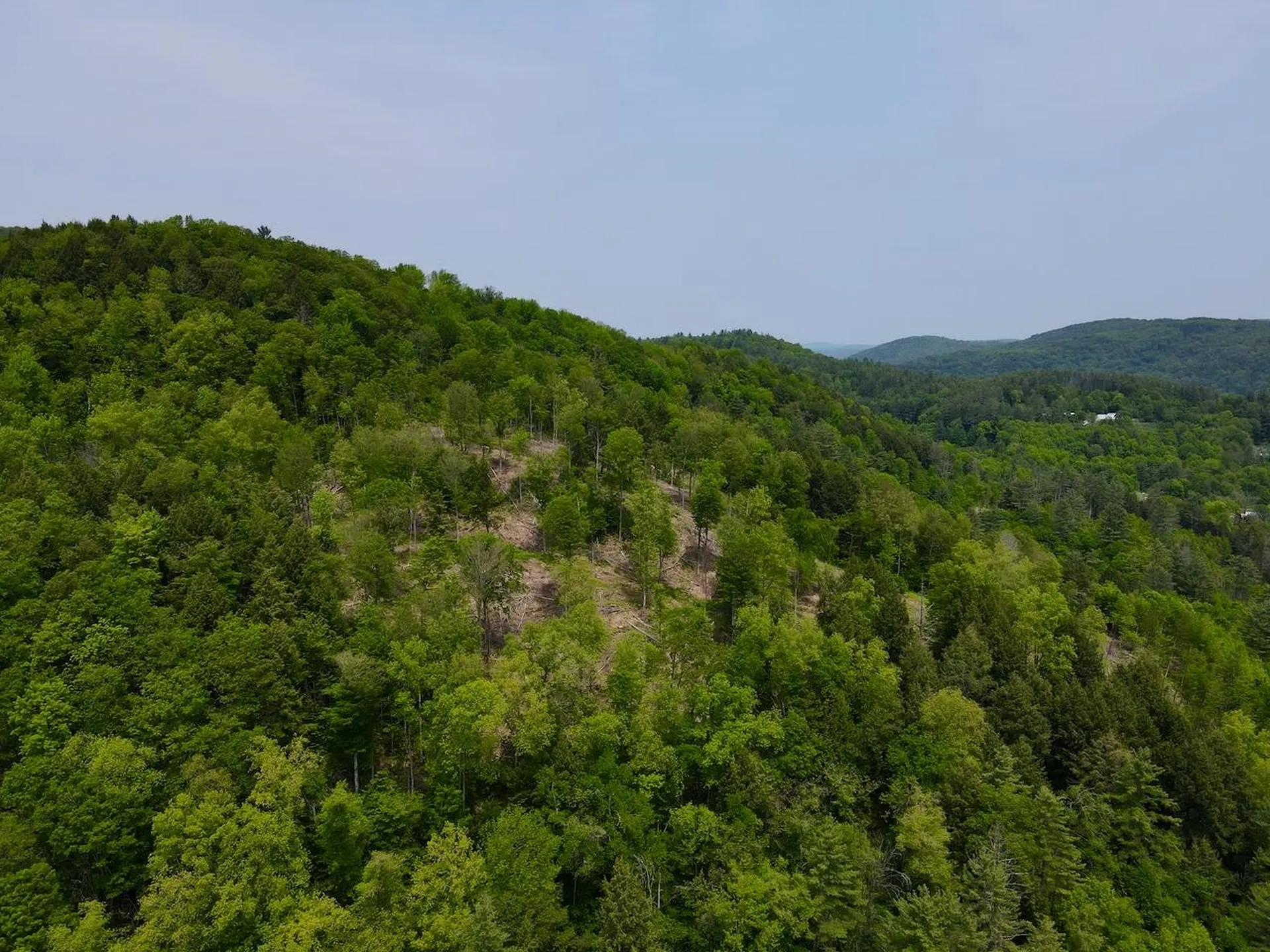 Peavine Boulevard Bethel VT 05032