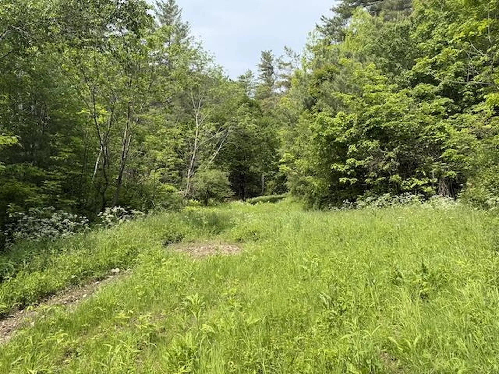 0 Peavine Boulevard Bethel VT 05032