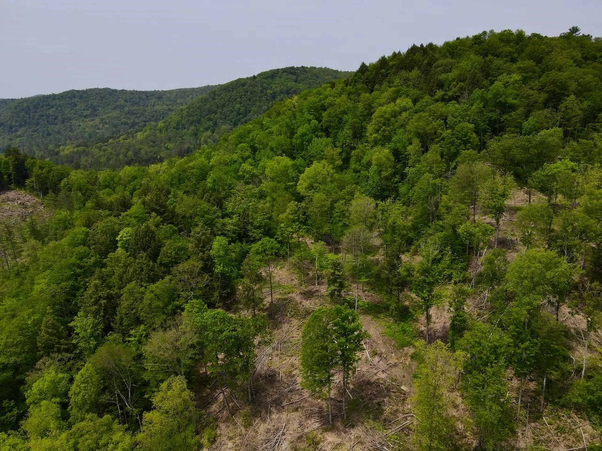 Peavine Boulevard Bethel VT 05032