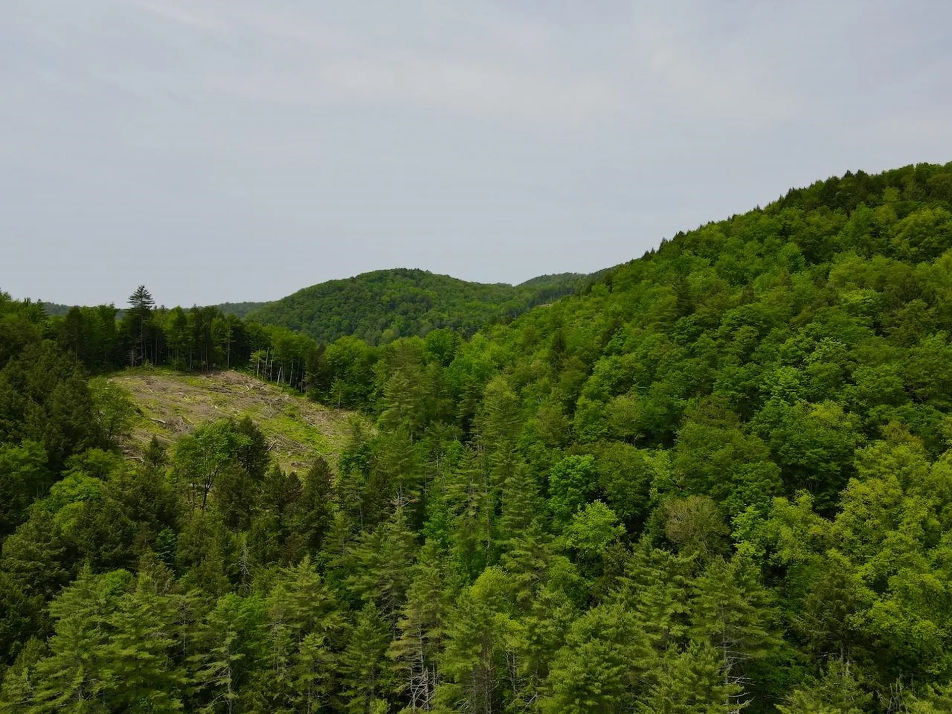 Peavine Boulevard Bethel VT 05032