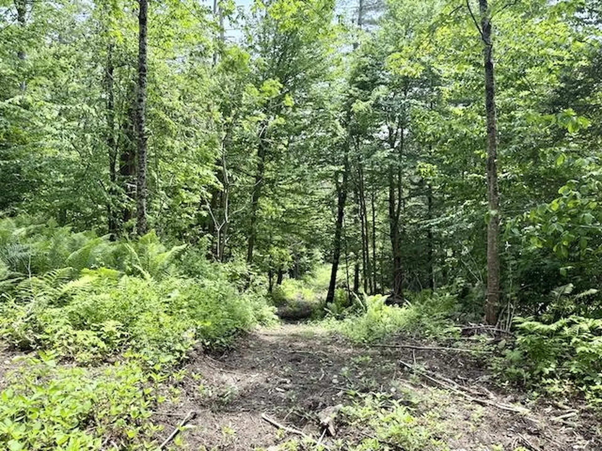 Peavine Boulevard Bethel VT 05032