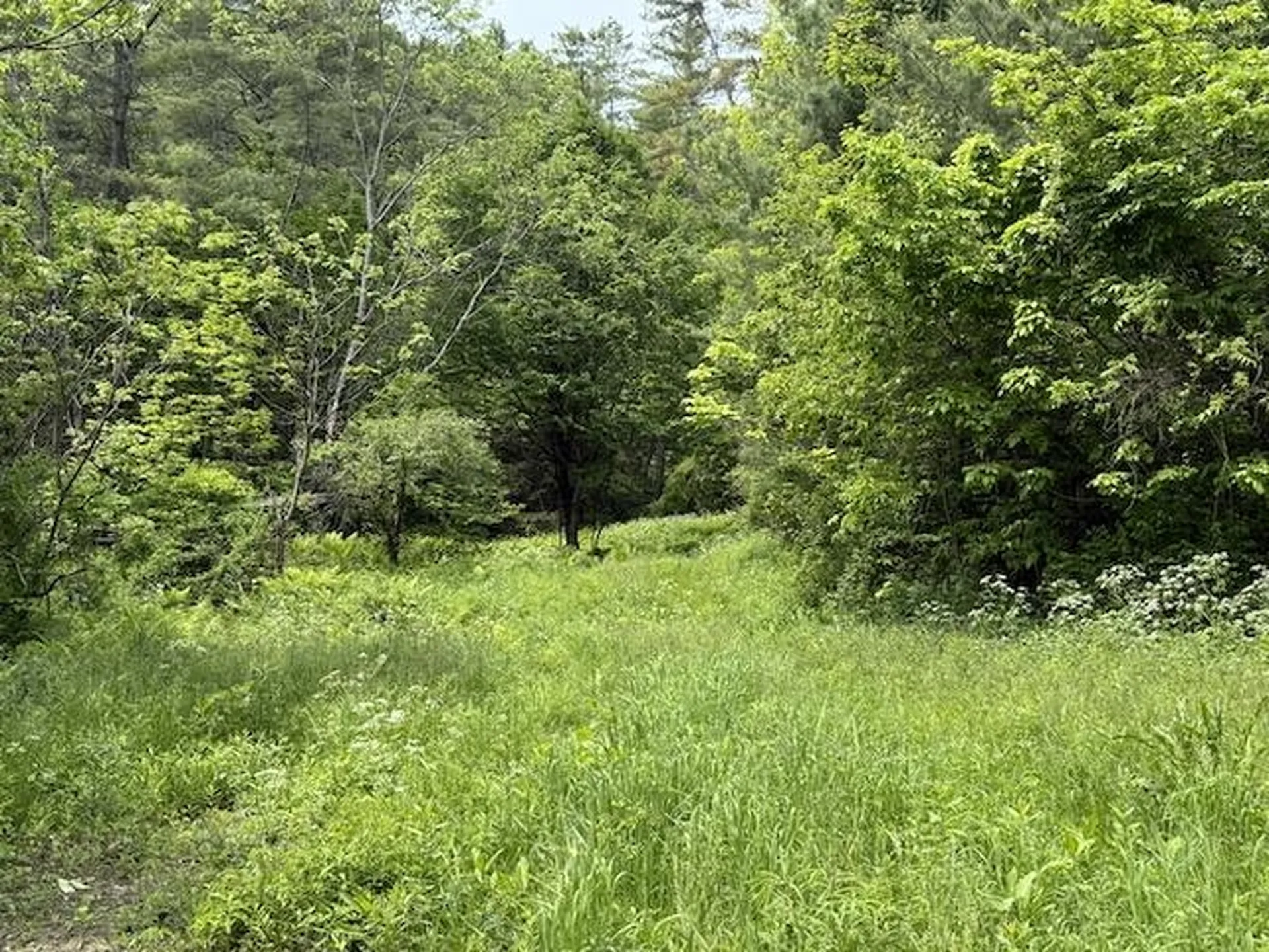 Peavine Boulevard Bethel VT 05032