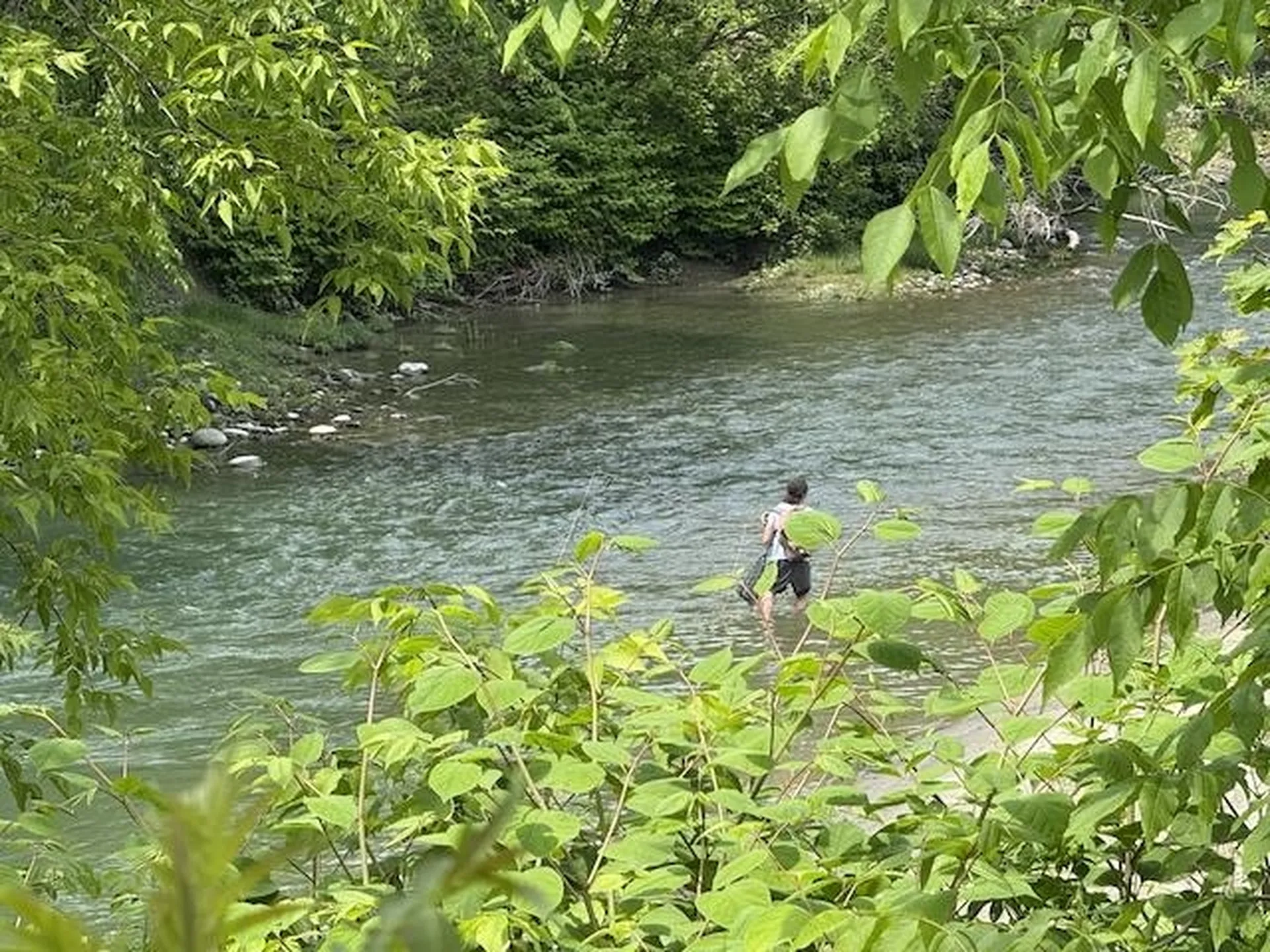 Peavine Boulevard Bethel VT 05032