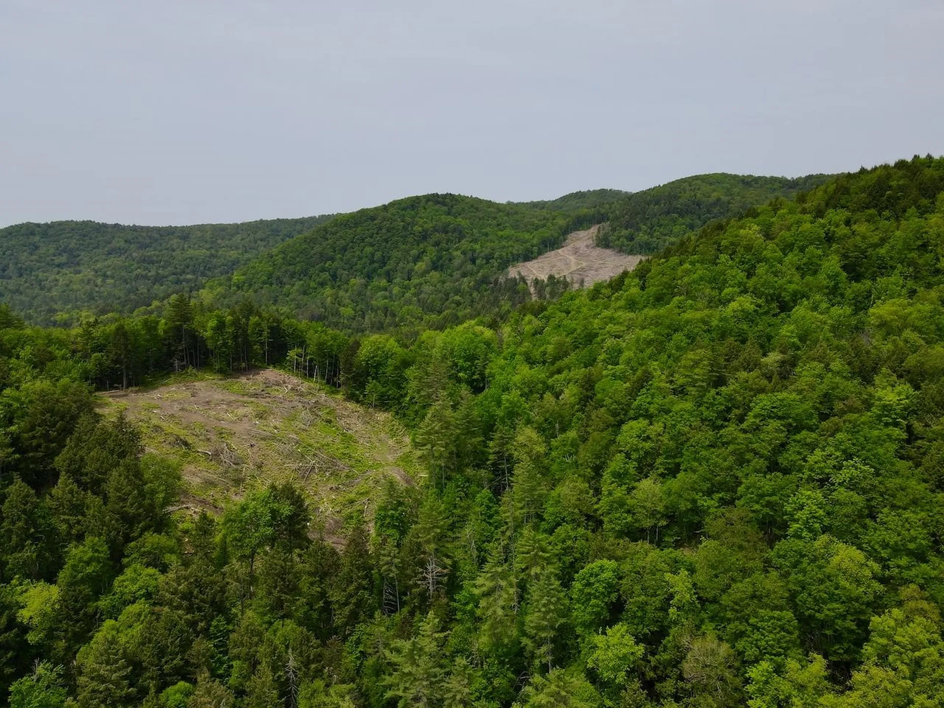 Peavine Boulevard Bethel VT 05032