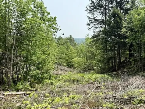 Peavine Boulevard Bethel VT 05032