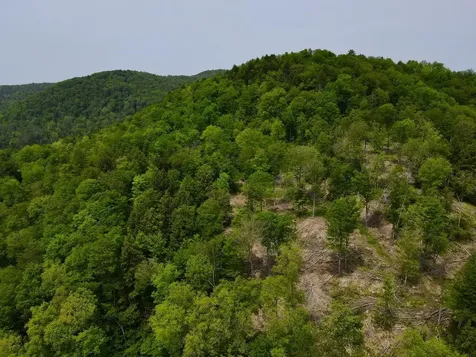 Peavine Boulevard Bethel VT 05032